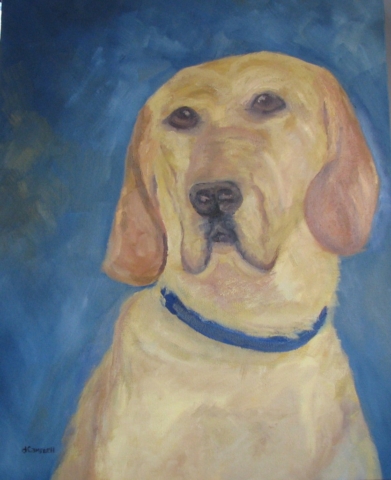 Portrait of Chesterfield a Yellow Labrador Retriever