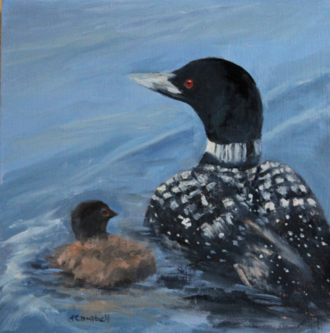 Mom Loon with Baby