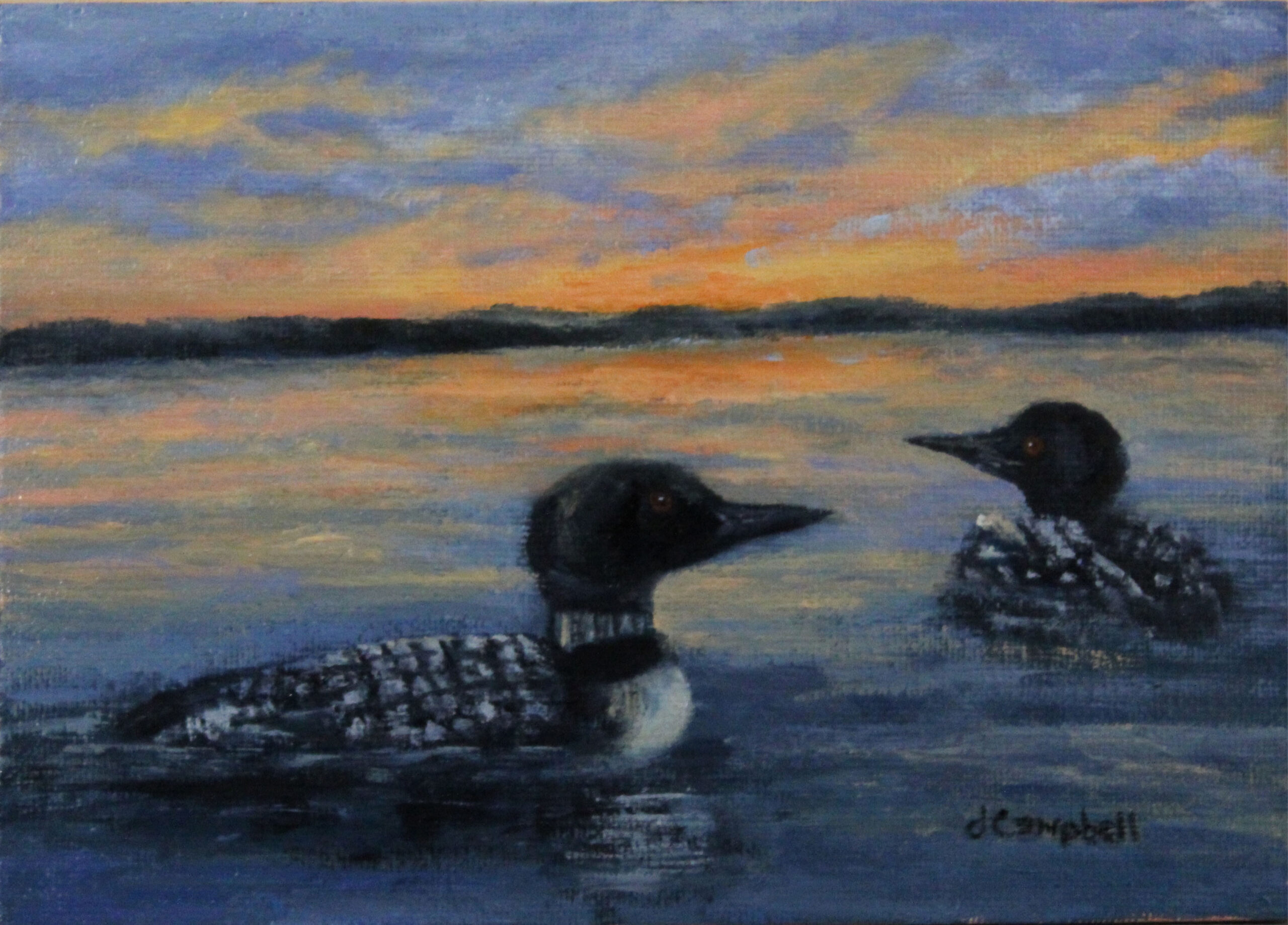 Two Loons at sunset