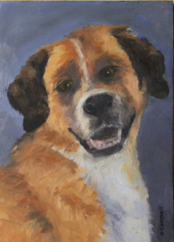 Dog Portrait of Jack