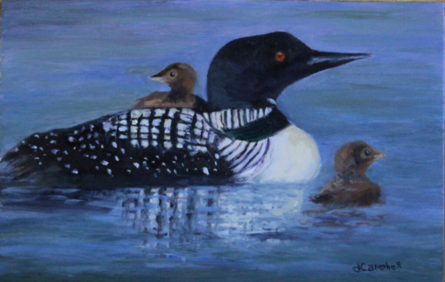 Mama Loon and two babies