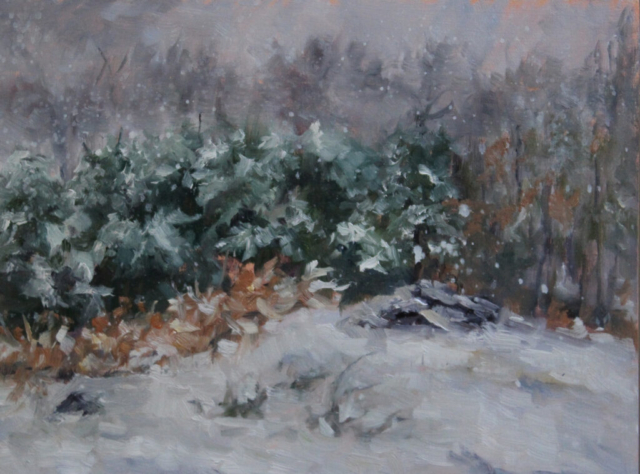 snow scene with pine trees and snow